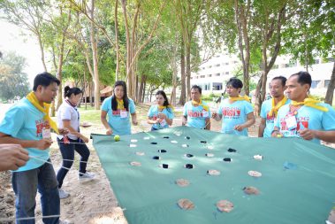 กิจกรรมวอลแลคลี่, Walk rally